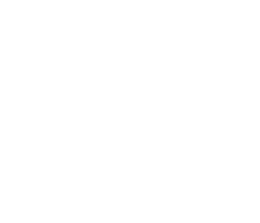 Anadolu Efes Biracılık ve Malt Sanayii A.Ş. logo